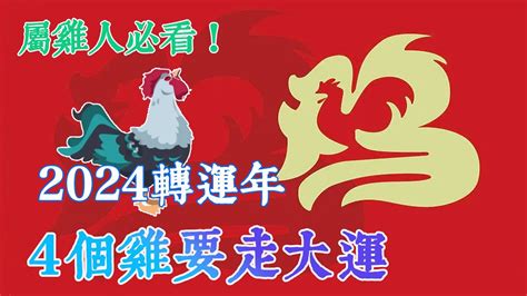 1993屬雞2024運勢|不同年份生肖雞運勢及運程2024